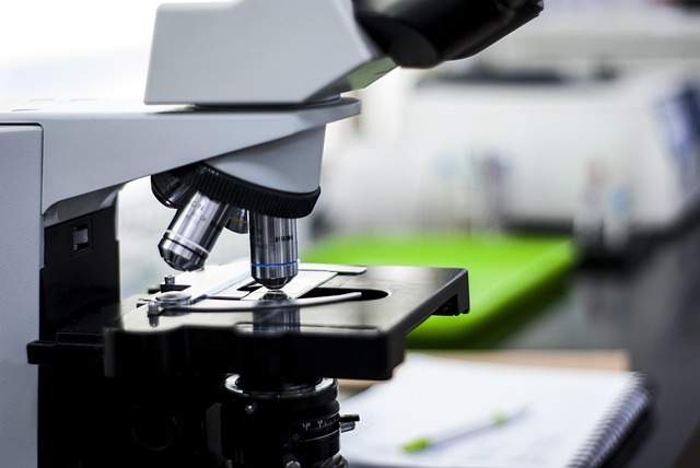 采購聚氨酯泡沫表皮增厚劑用于優(yōu)化高回彈海綿表皮韌性并增強產(chǎn)品的防水性能